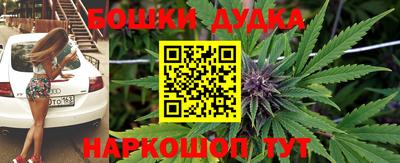 прущие крисы Новодвинск