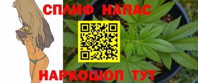 mdpv Новокубанск