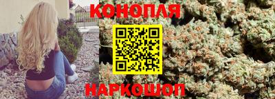 spice Новозыбков