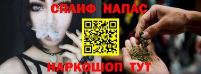 spice Новозыбков