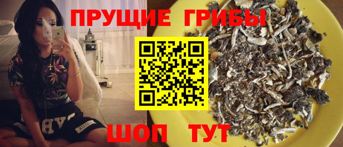 Псилоцибиновые грибы ЛСД  Галлюциногенные грибы Magic Shrooms  Вход с VPN  Сокол 