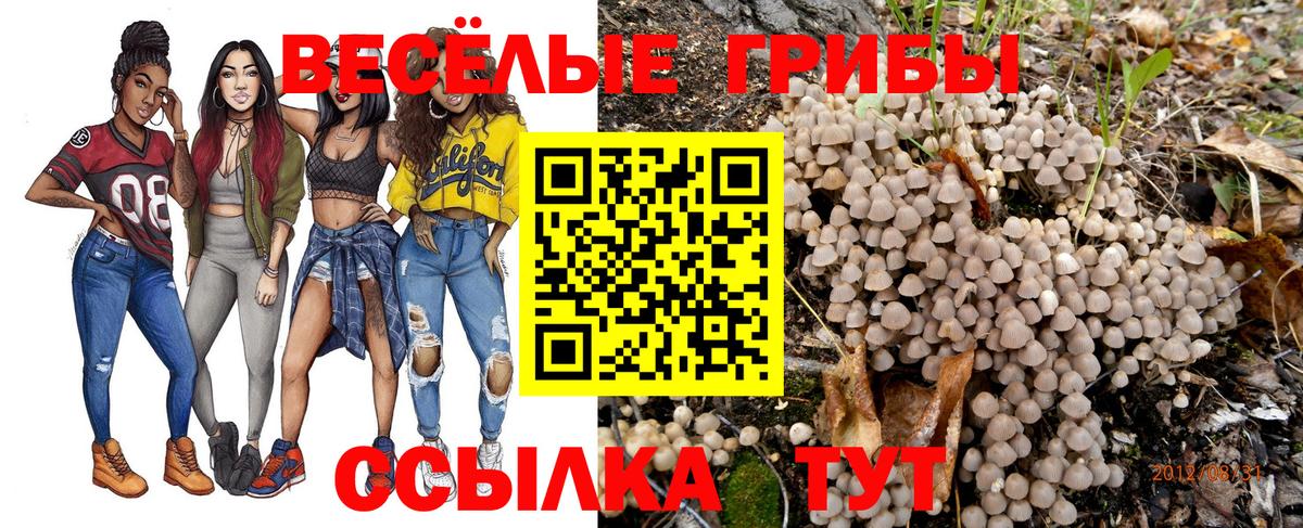 Галлюциногенные грибы MAGIC MUSHROOMS Сокол